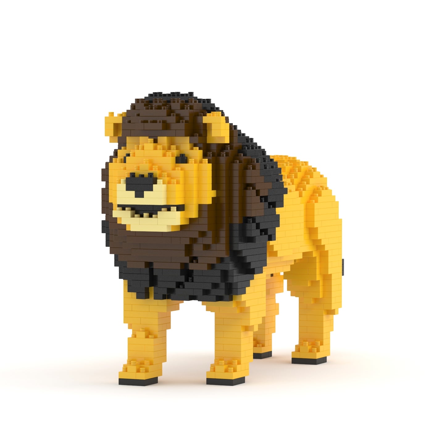 Lion 01