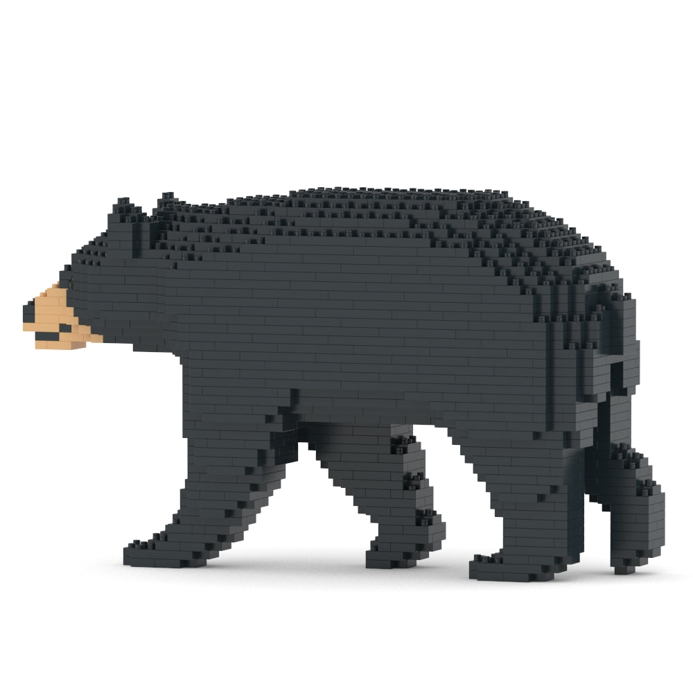 Black Bear 01