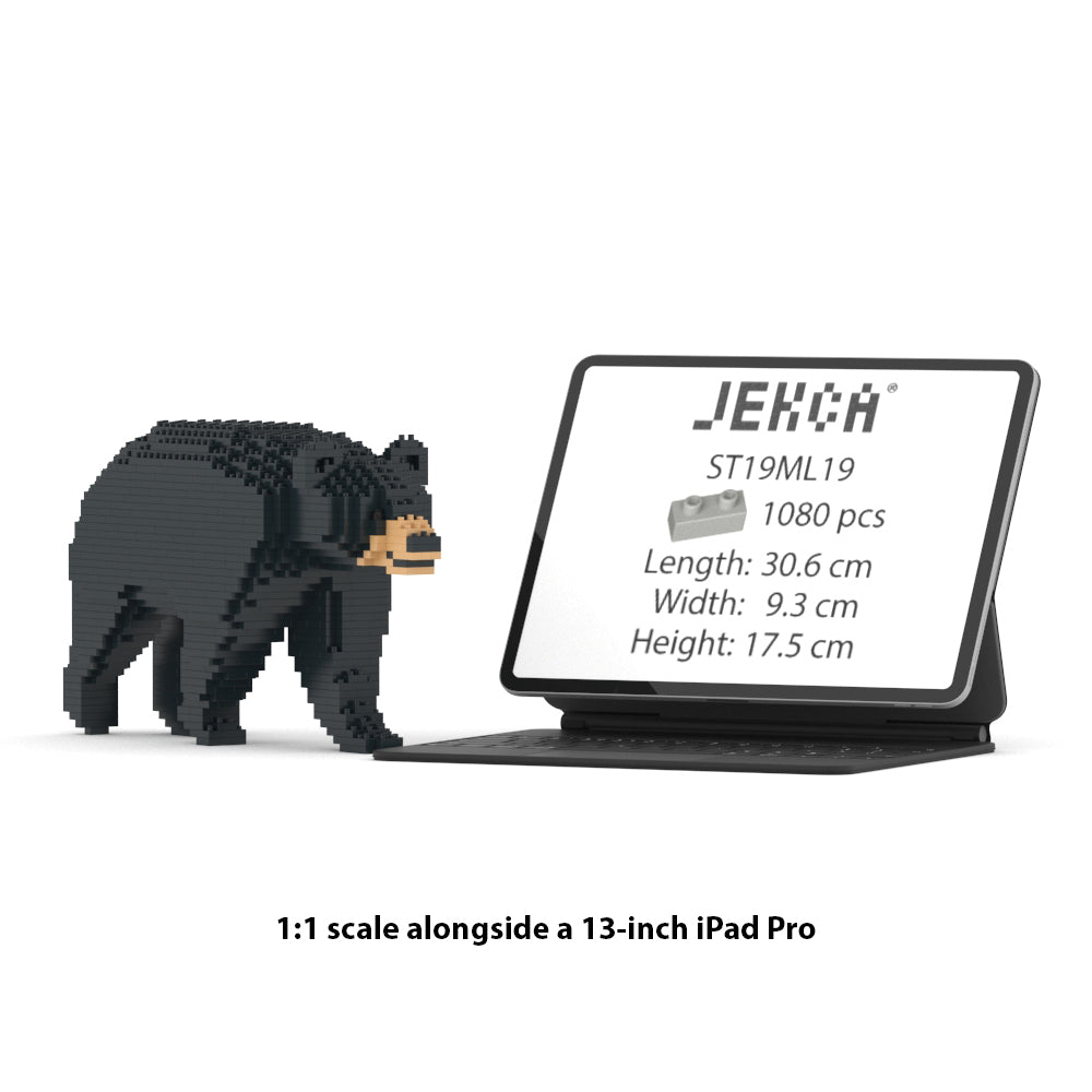 Black Bear 01