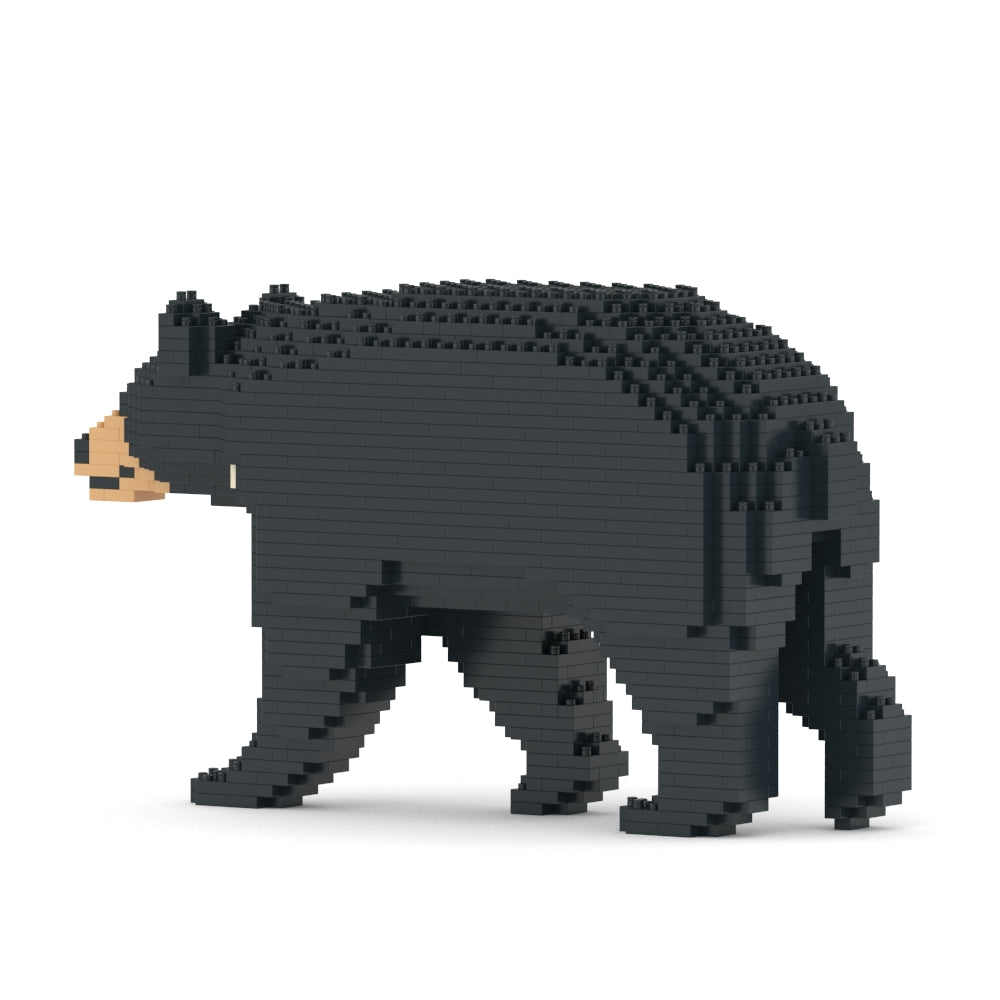 Formosan Black Bear 01