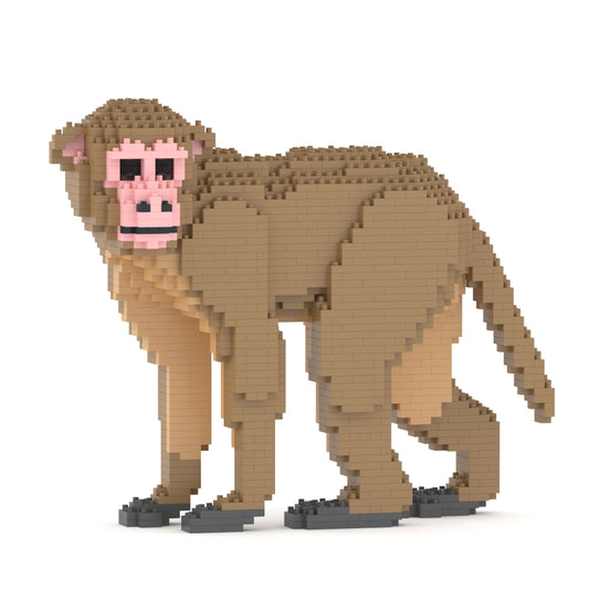 Monkey 01