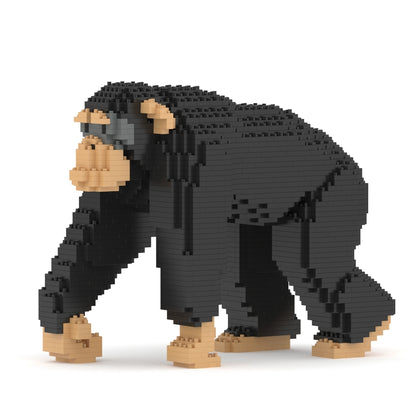 Chimpanzee 02