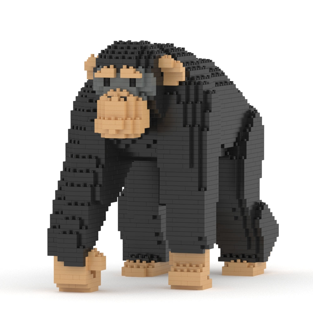 Chimpanzee 02