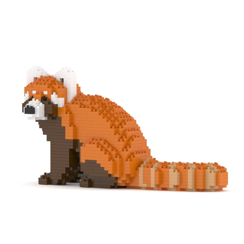 Red Panda 01