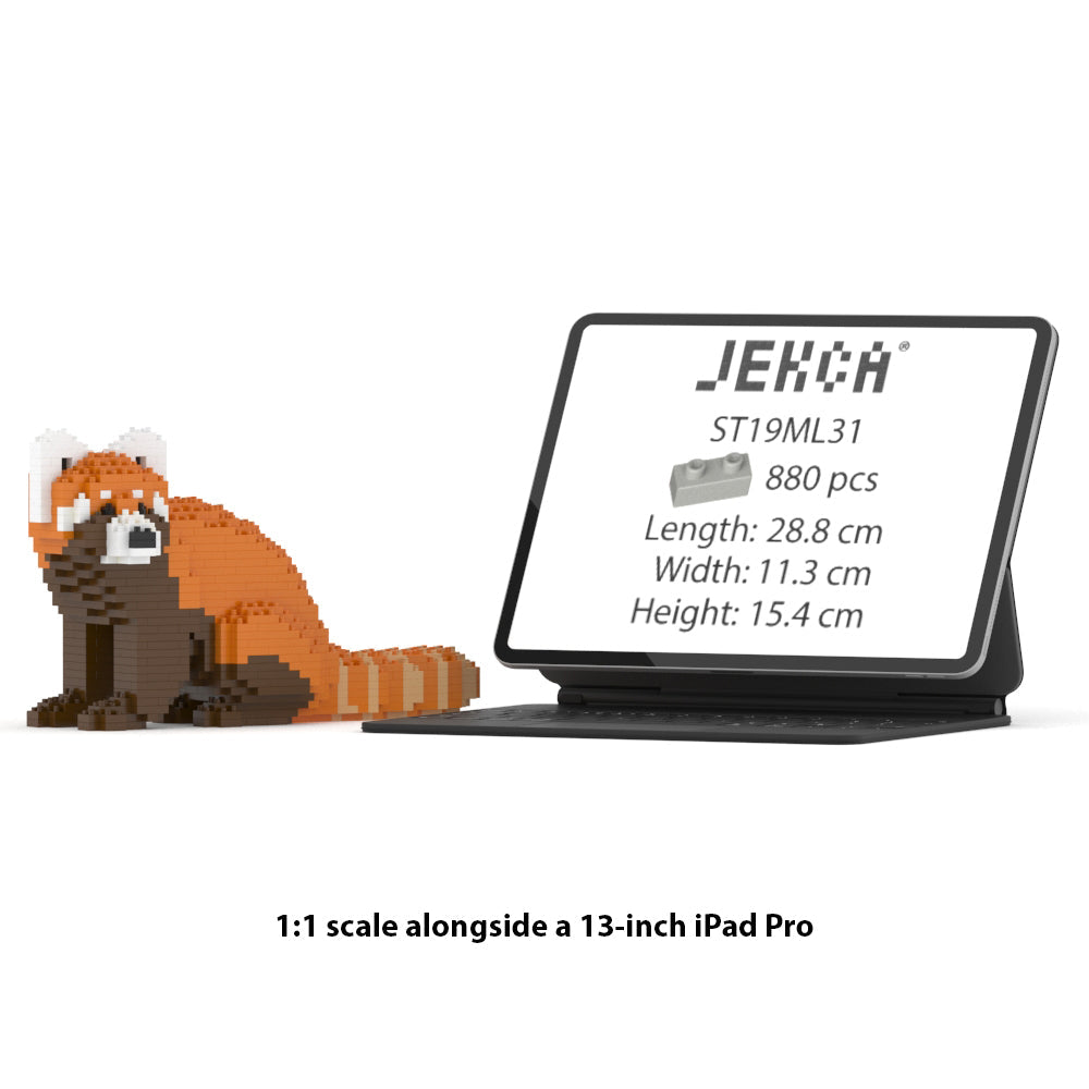 Red Panda 01