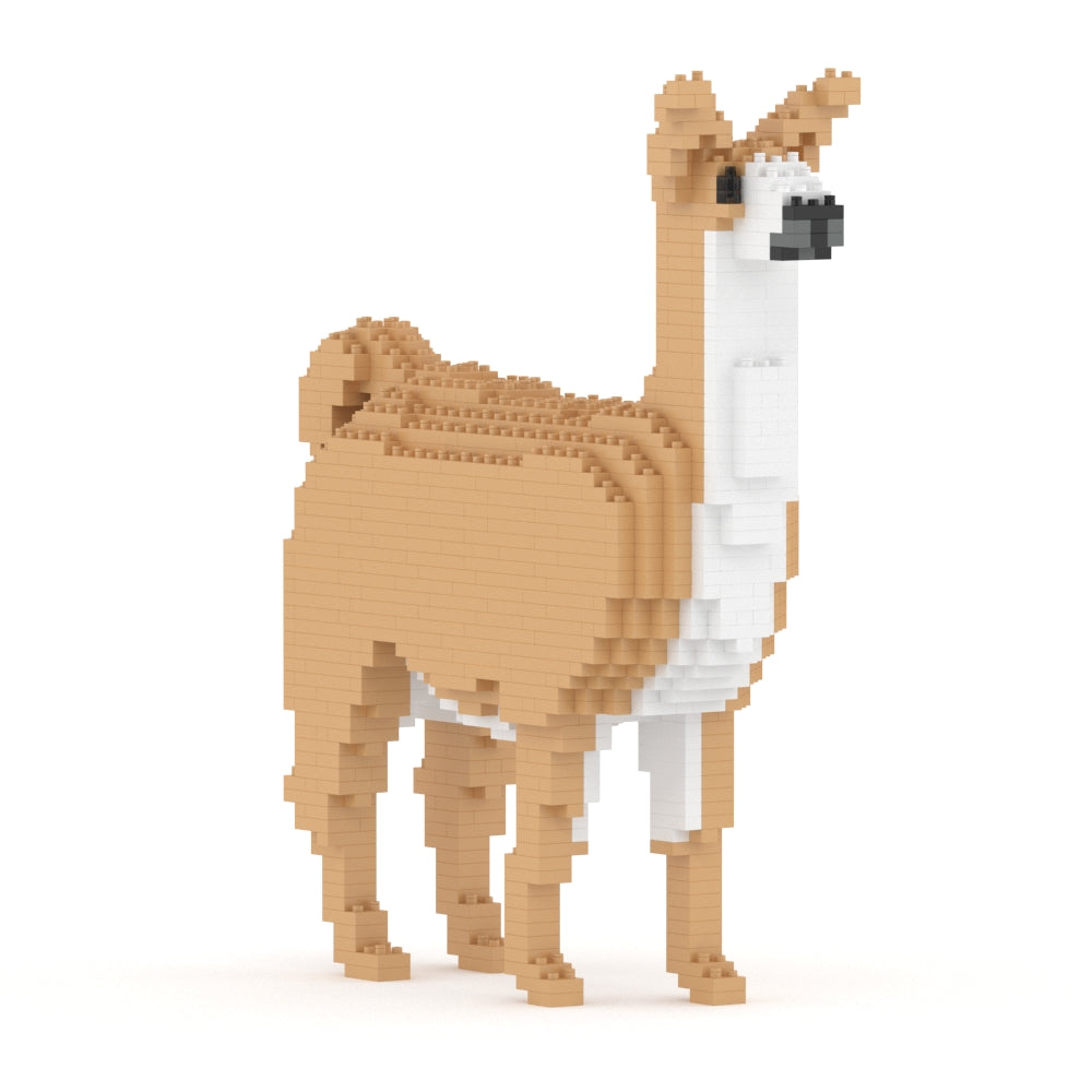 Llama 01