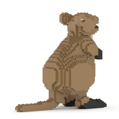 Quokka 01