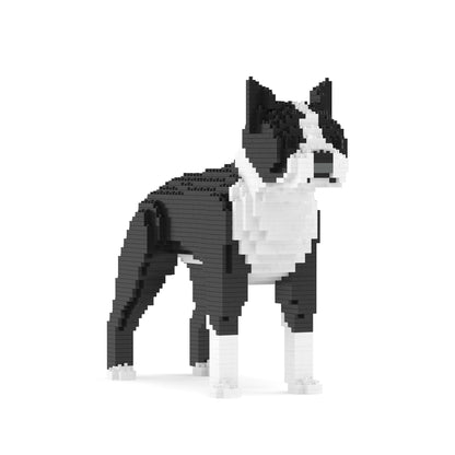 Boston Terrier 01-M01B