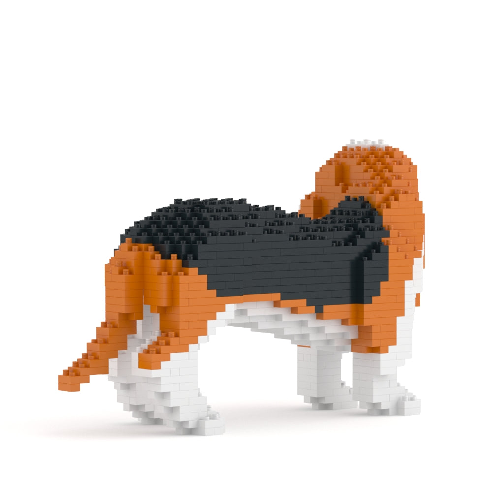 Basset Hound 01-M01