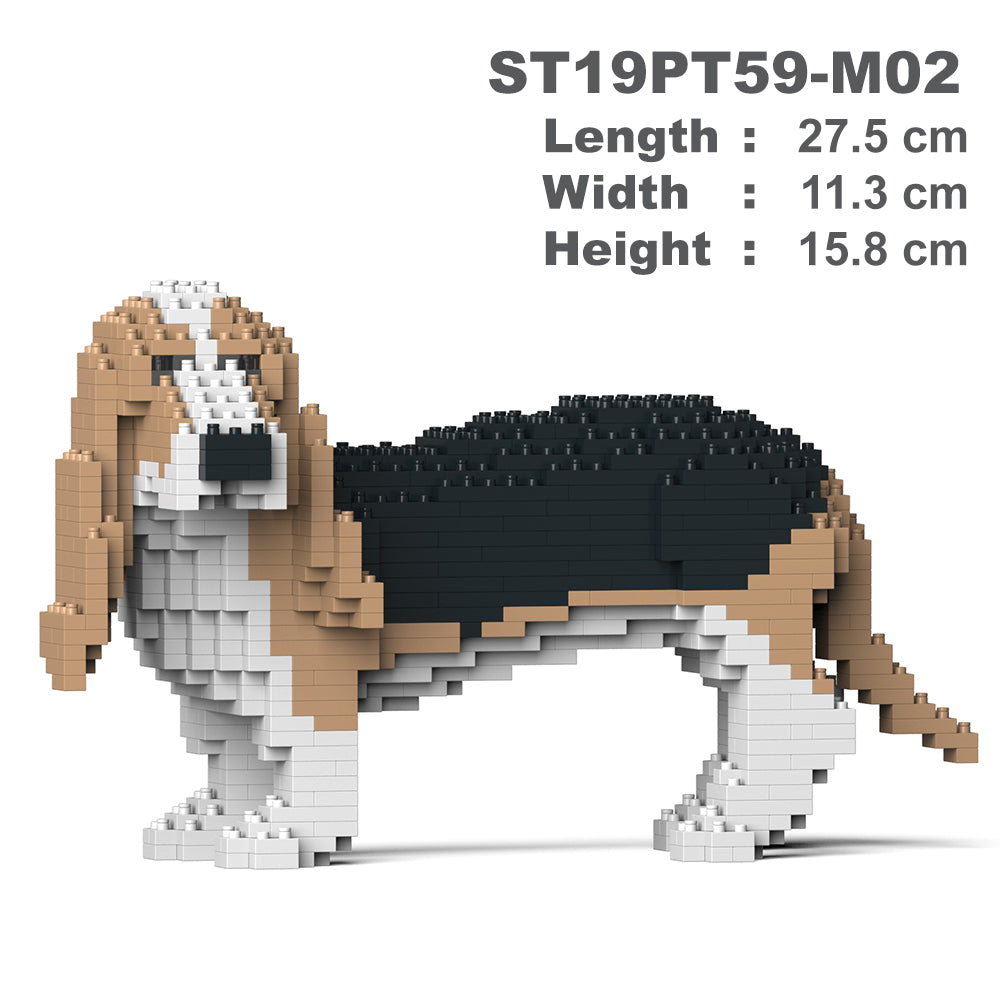 Basset Hound 01-M02