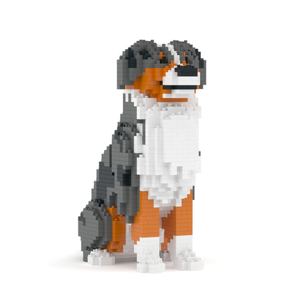 Australian Shepherd 01-M01B