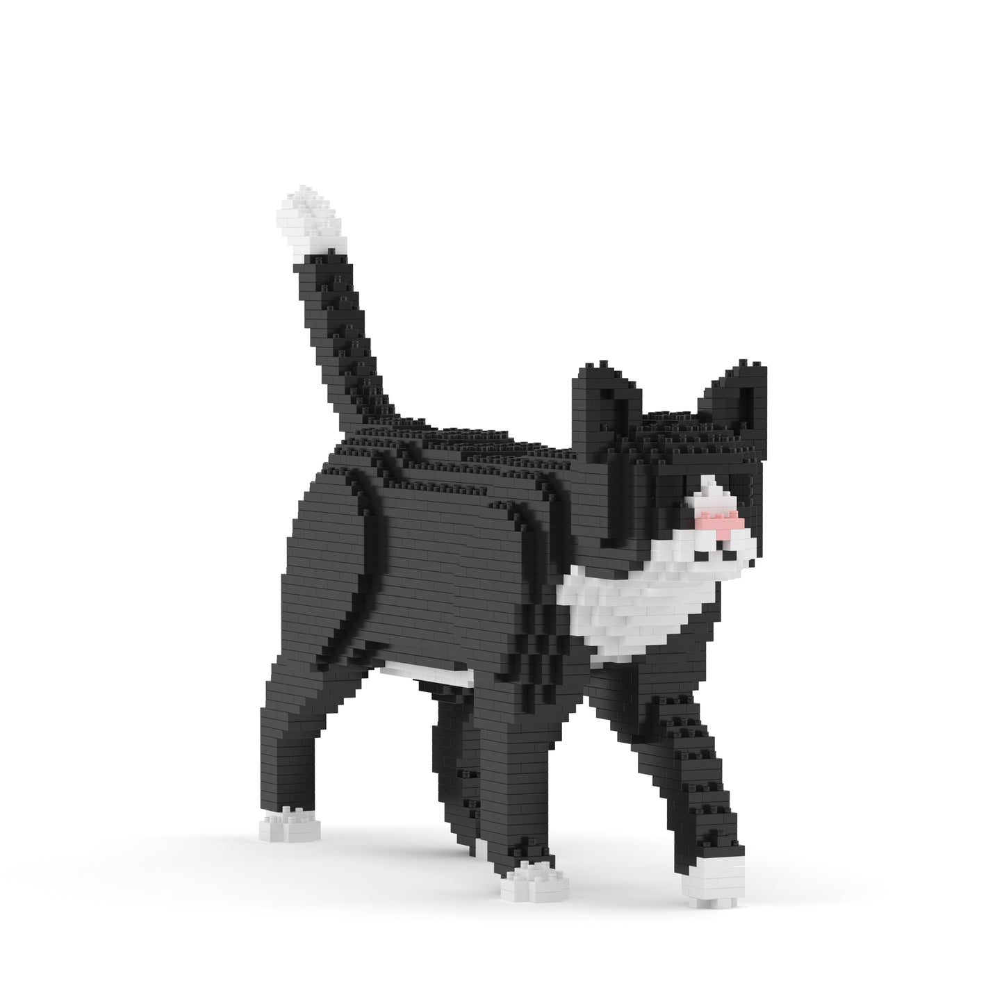 Tuxedo Cat 02SB (version 2024)