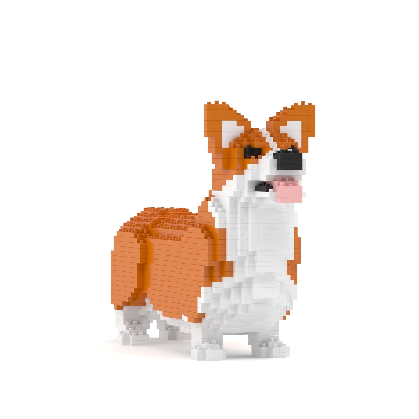 Welsh Corgi 02-M01B (version 2024)