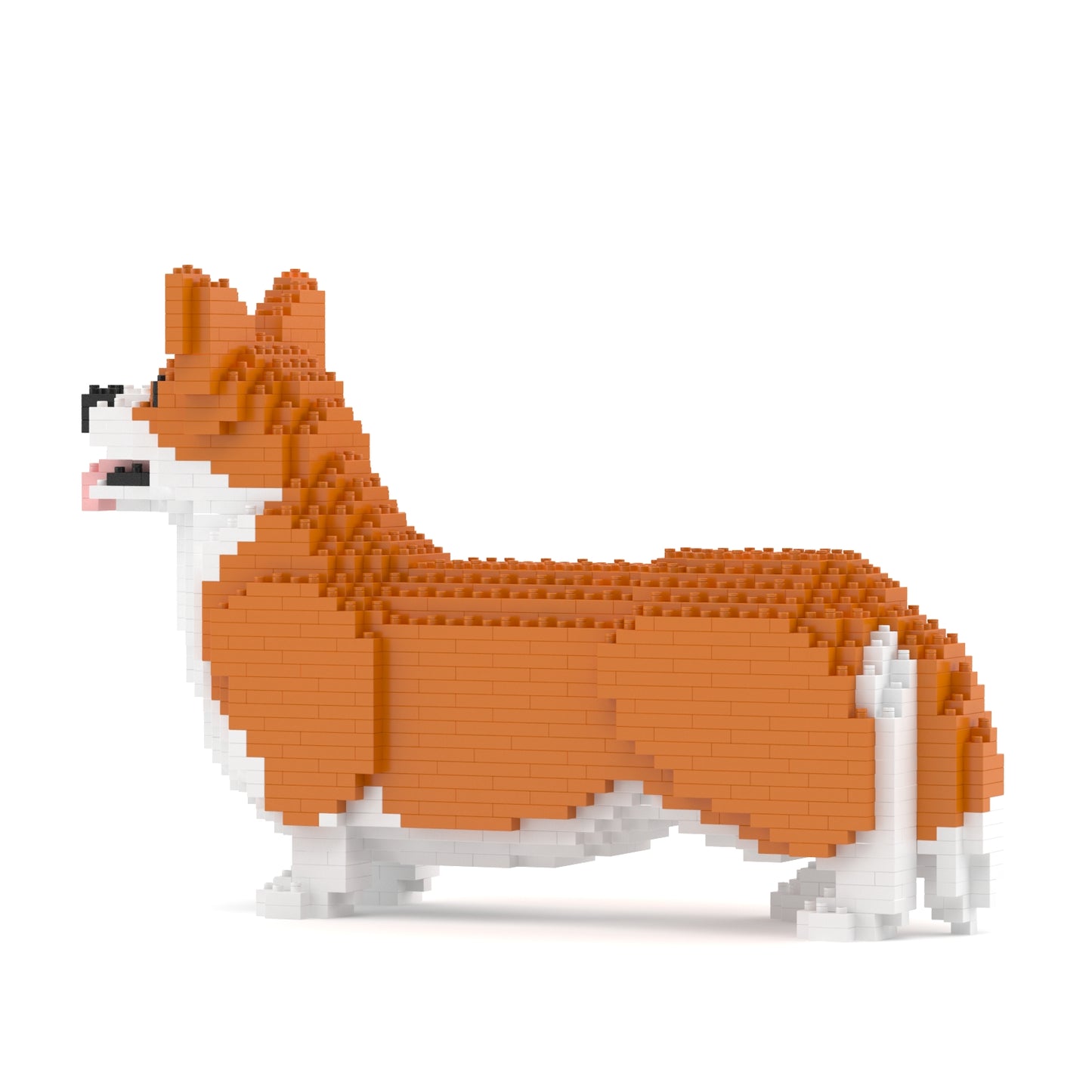 Welsh Corgi 02-M01B (version 2024)