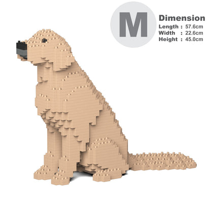 Golden Retriever 03-M03