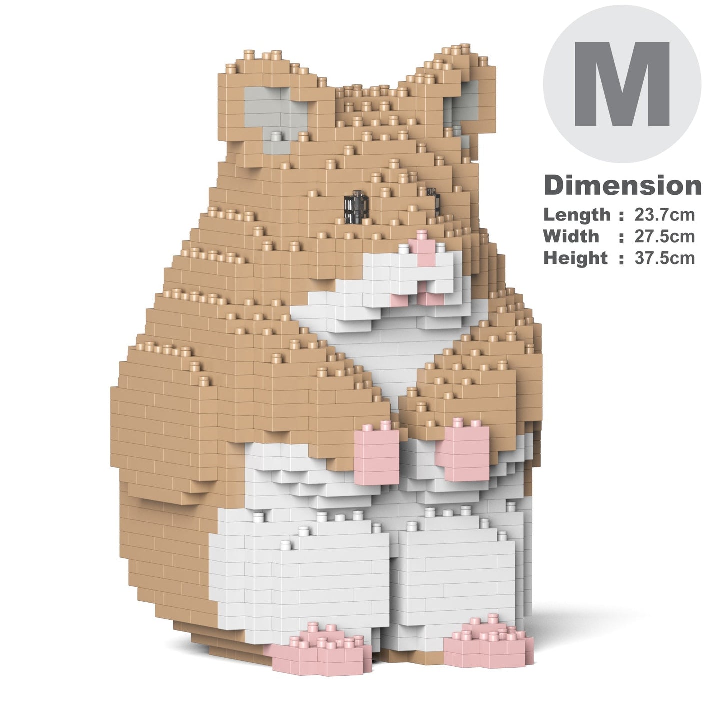 Hamster 01-M01