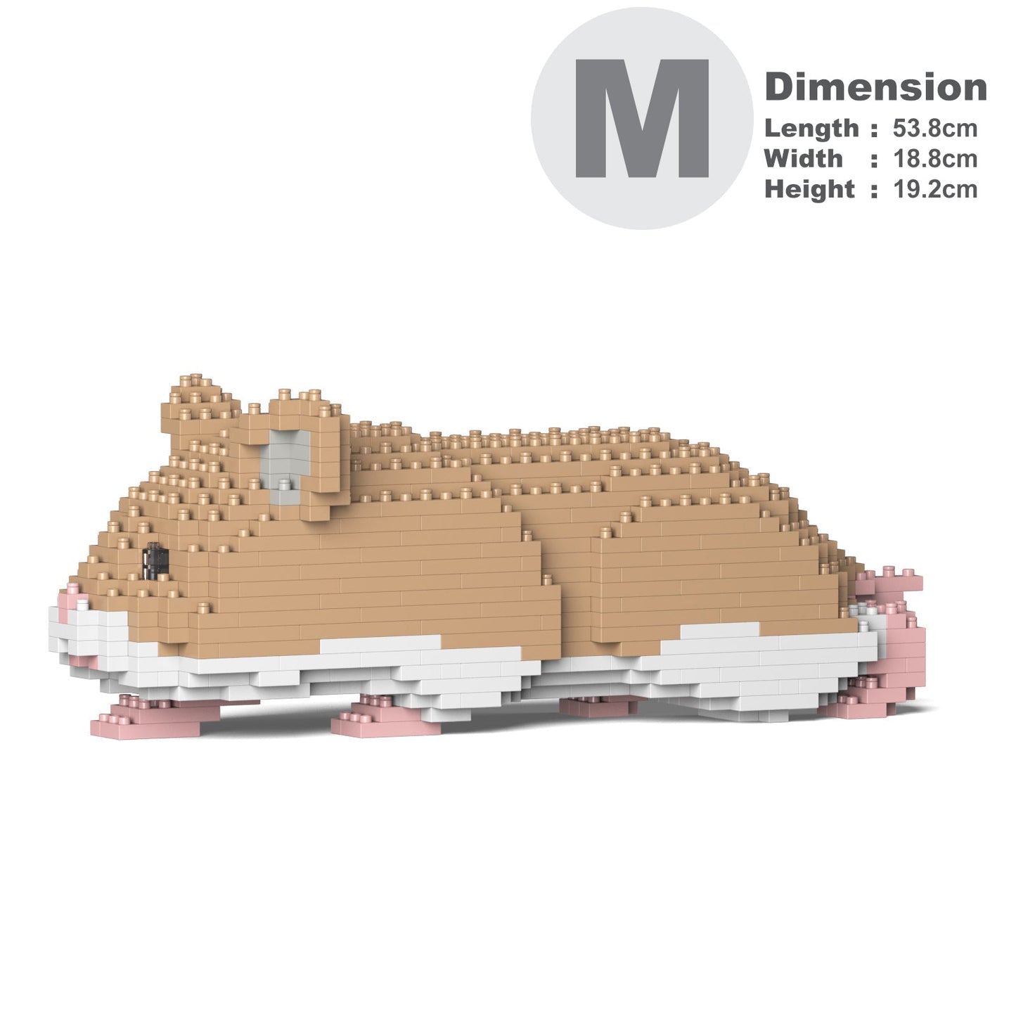 Hamster 03-M01