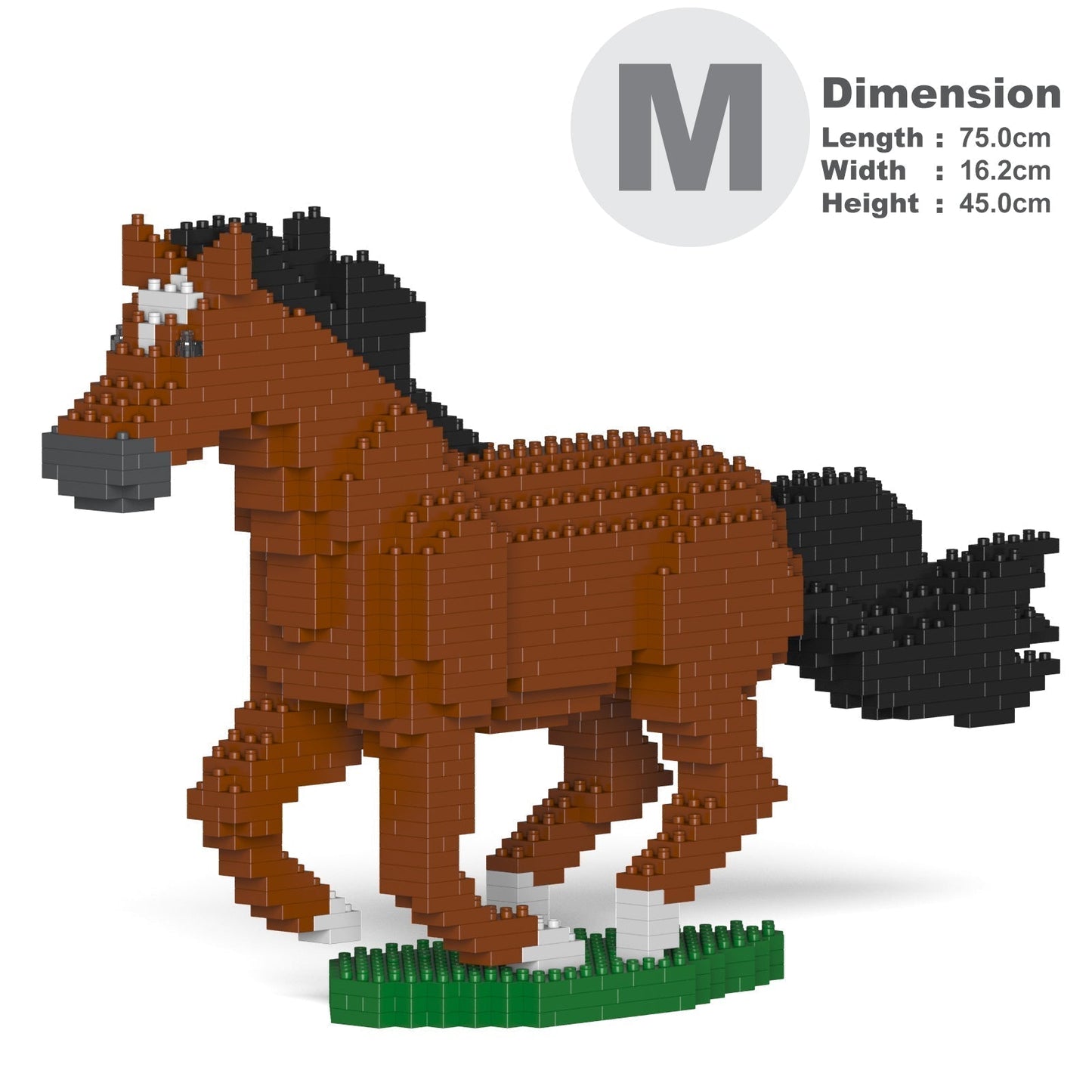 Horse 01-M01