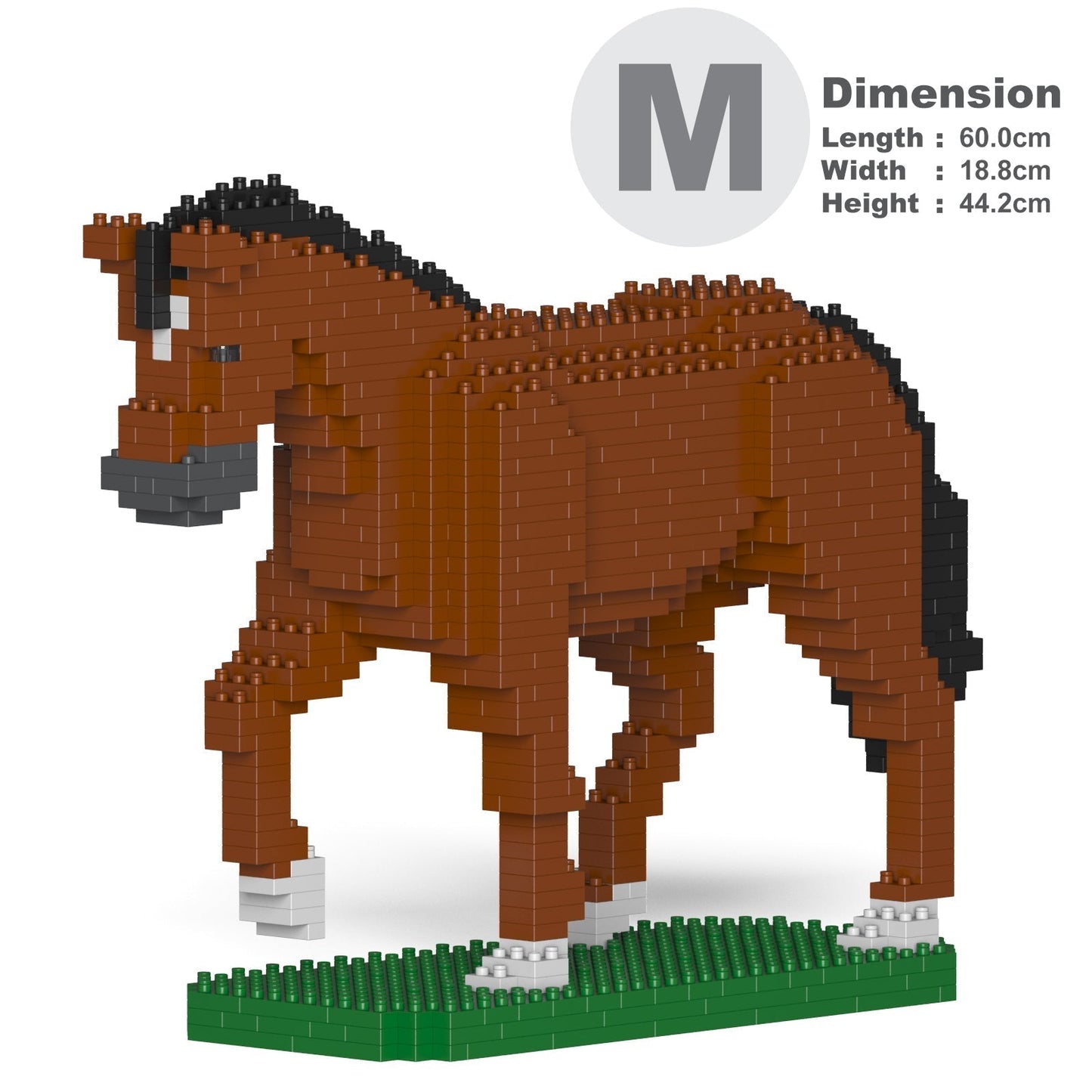 Horse 02-M01