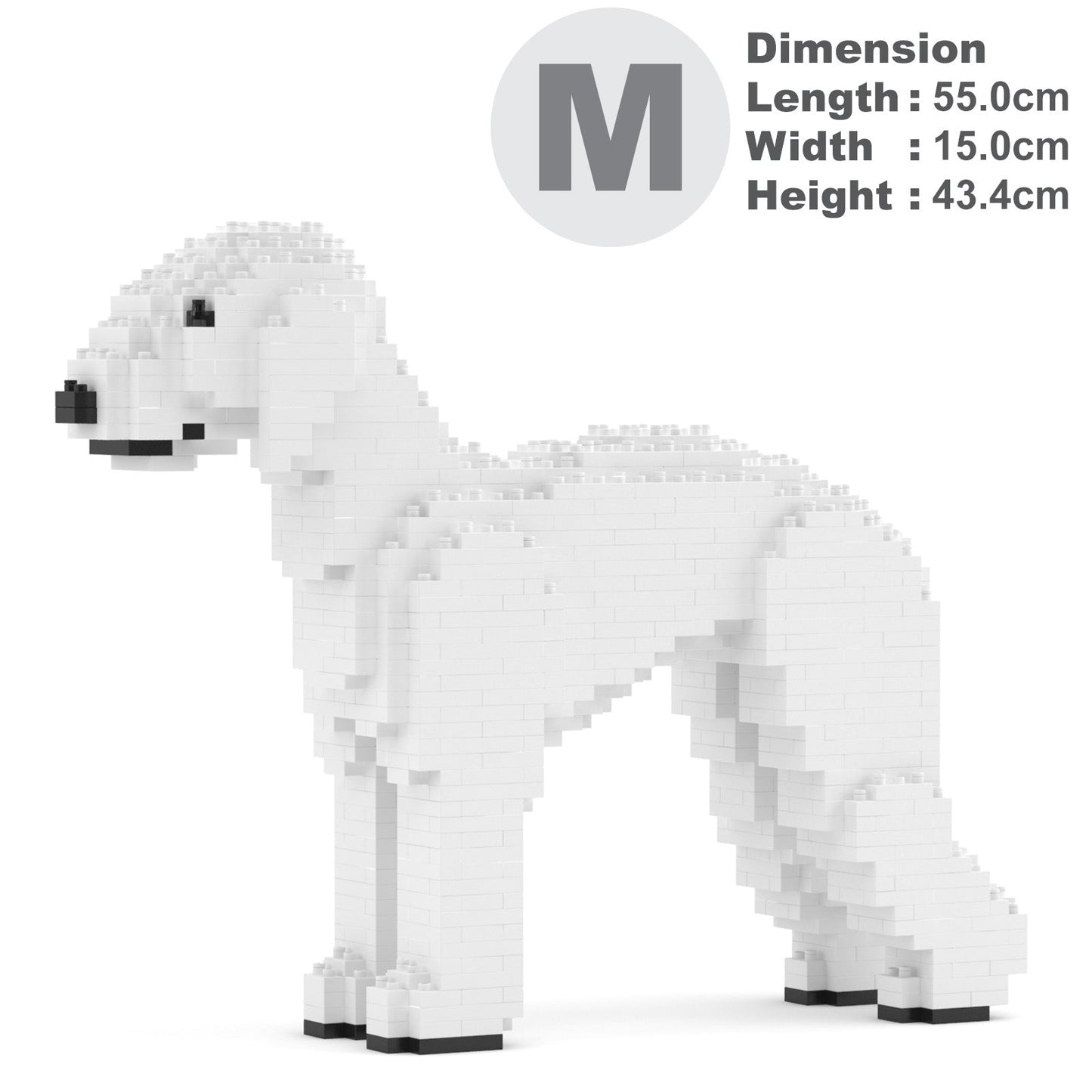 Bedlington Terrier 01