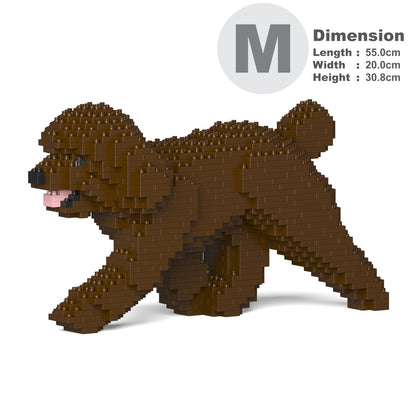 Toy Poodle 02-M05