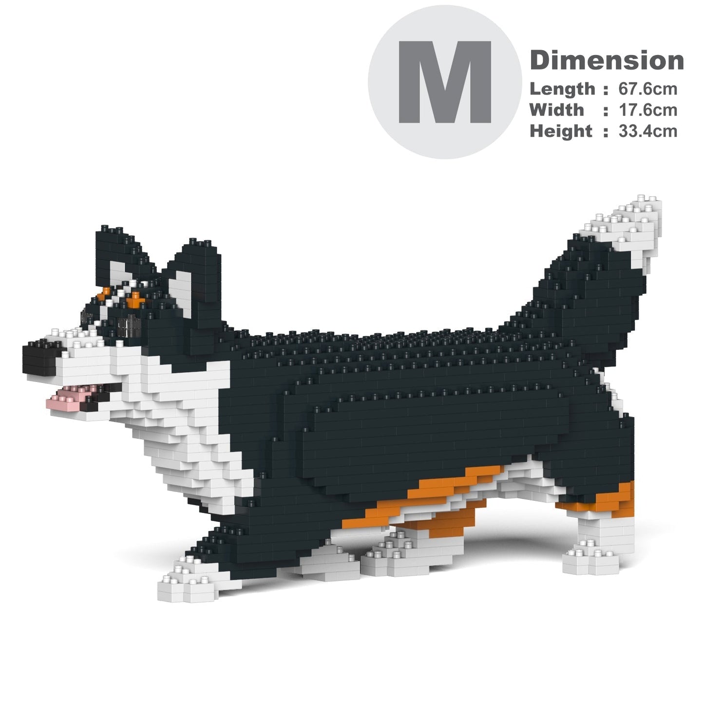 Welsh Corgi 04-M03