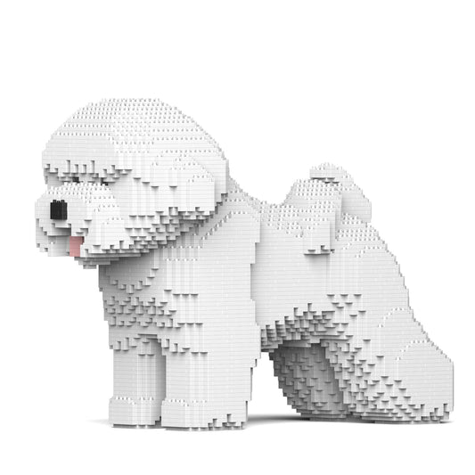 Bichon Frise 02