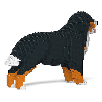 Bernese Mountain Dog 02