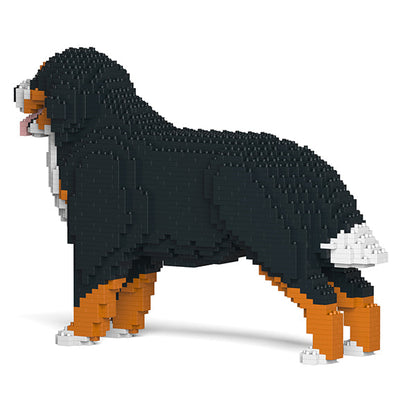 Bernese Mountain Dog 02