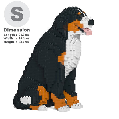 Bernese Mountain Dog 04