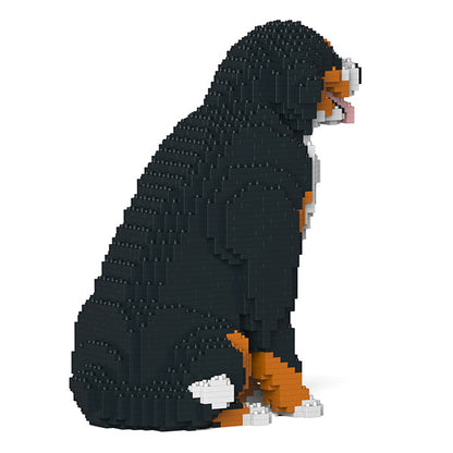 Bernese Mountain Dog 04