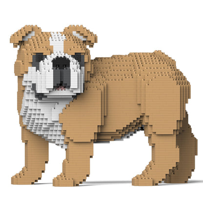 English Bulldog 4-in-1 Pack 01-M03