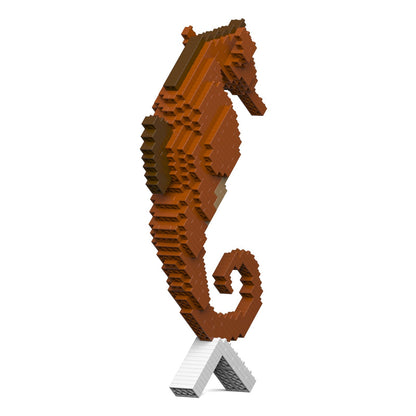 Seahorse 01