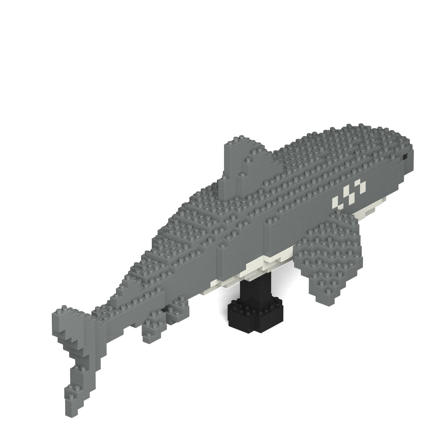 Tiger Shark 01