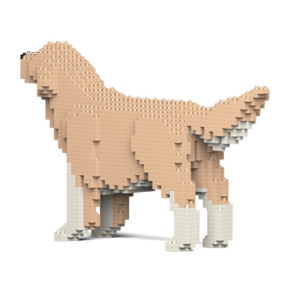 Golden Retriever 02-M01