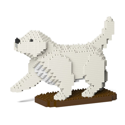 Golden Retriever 05-M01