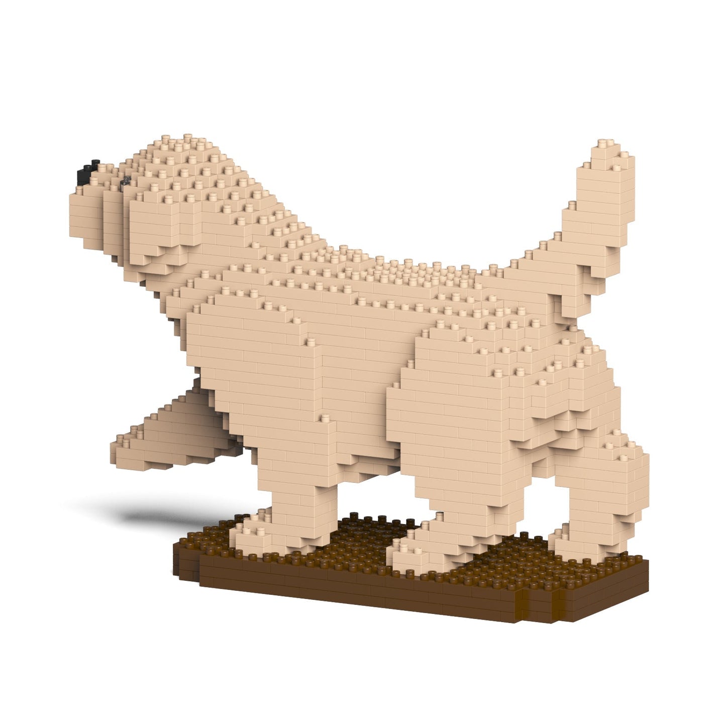 Golden Retriever 05-M02