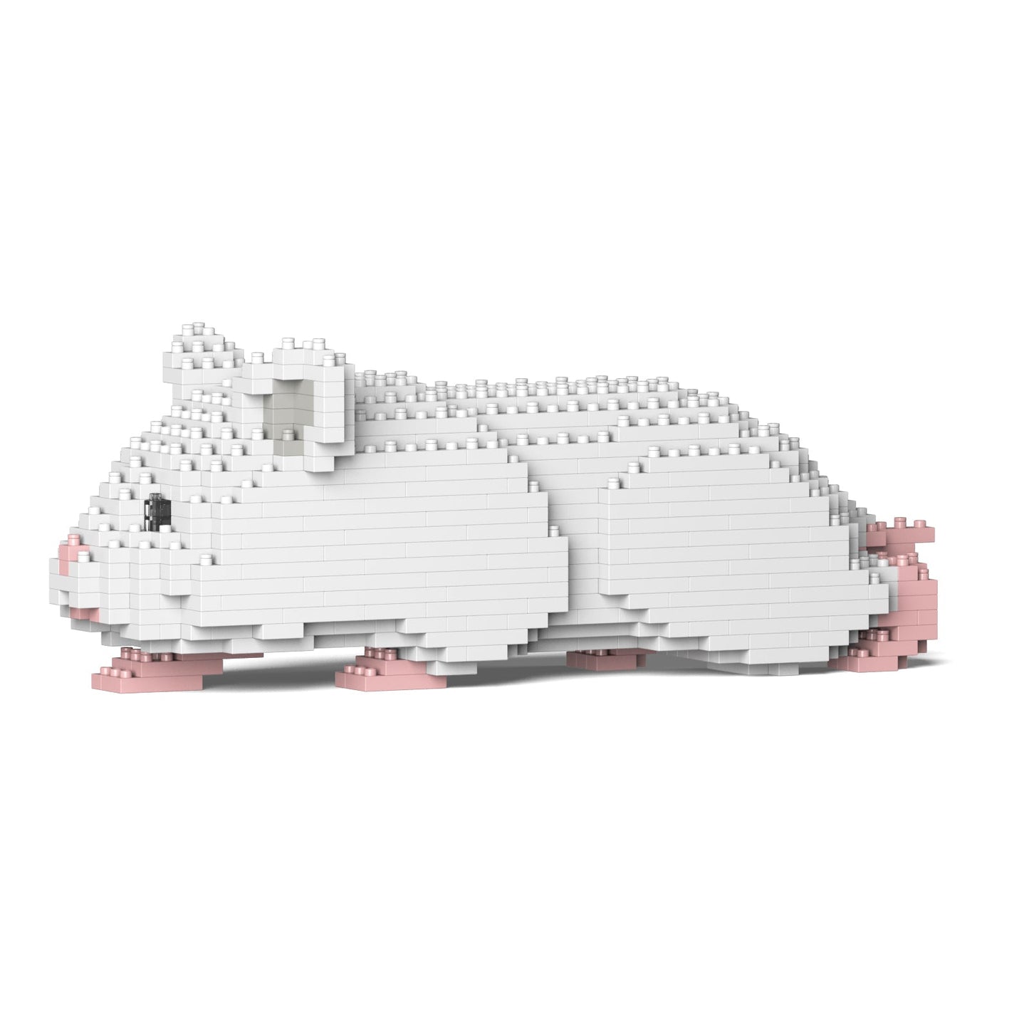 Hamster 03-M04