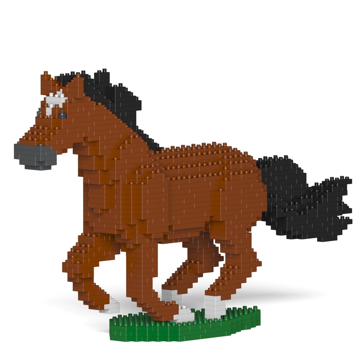 Horse 01-M01