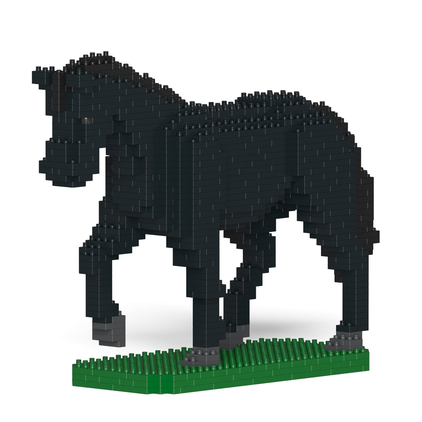 Horse 02-M03