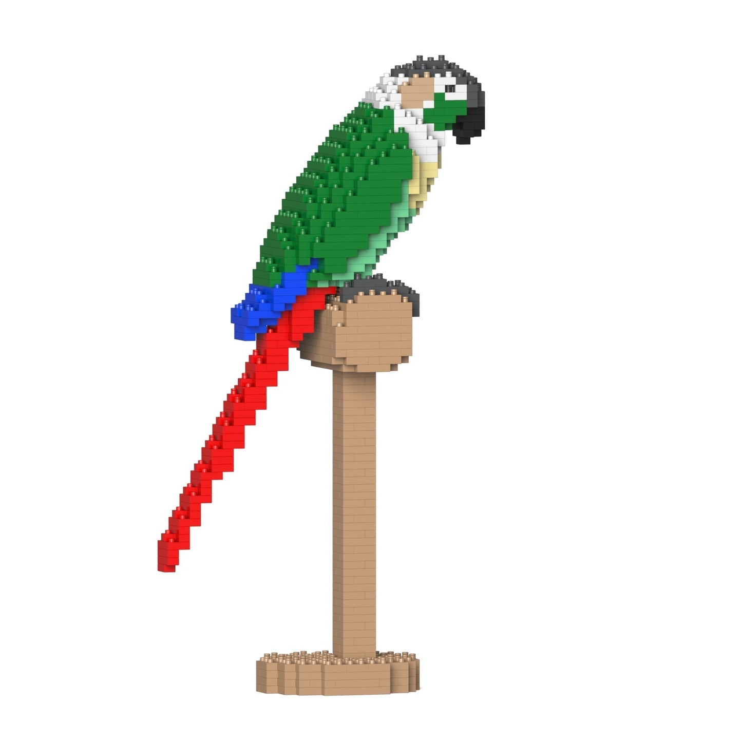 Green Cheek Conure 01S-M02