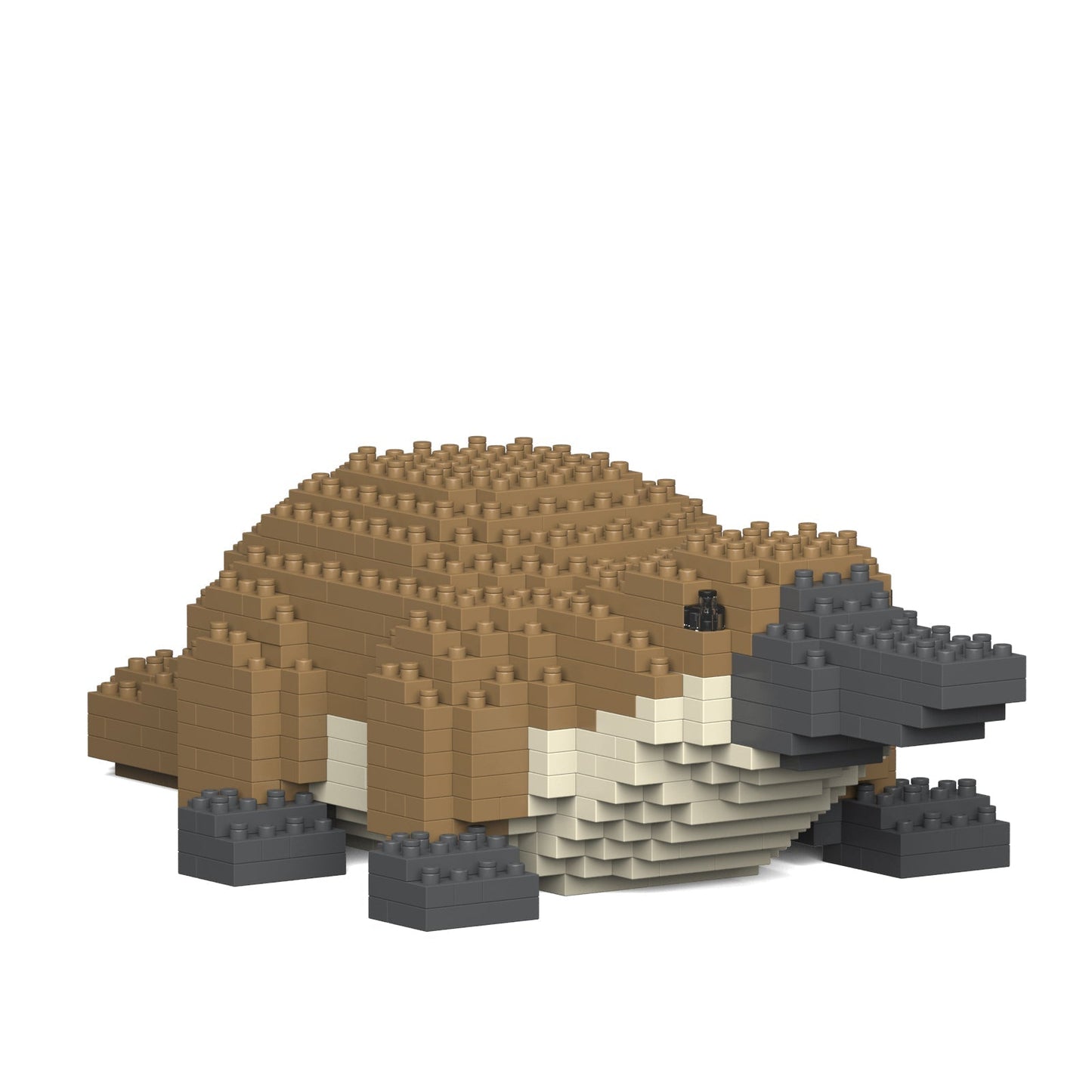 Platypus 01