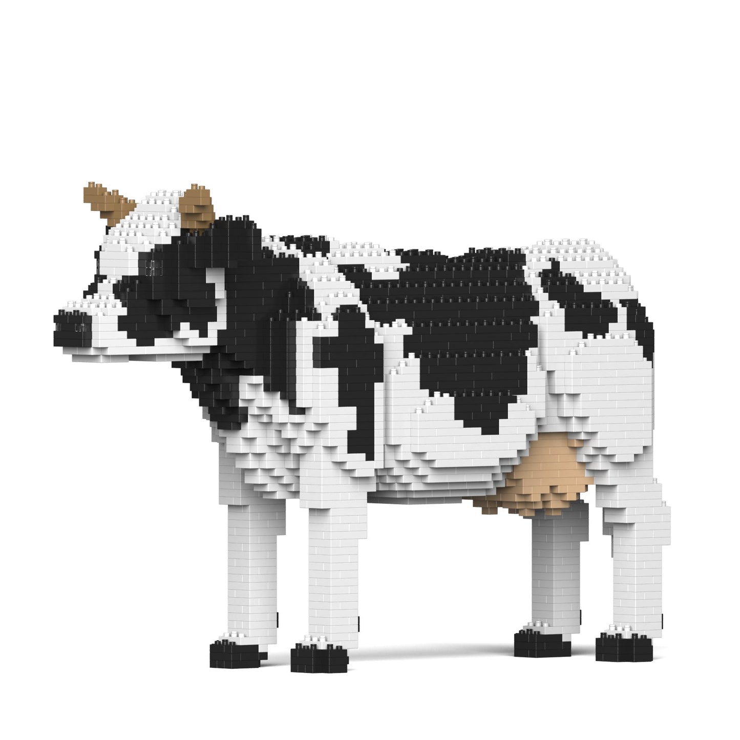 Dairy Cow 01