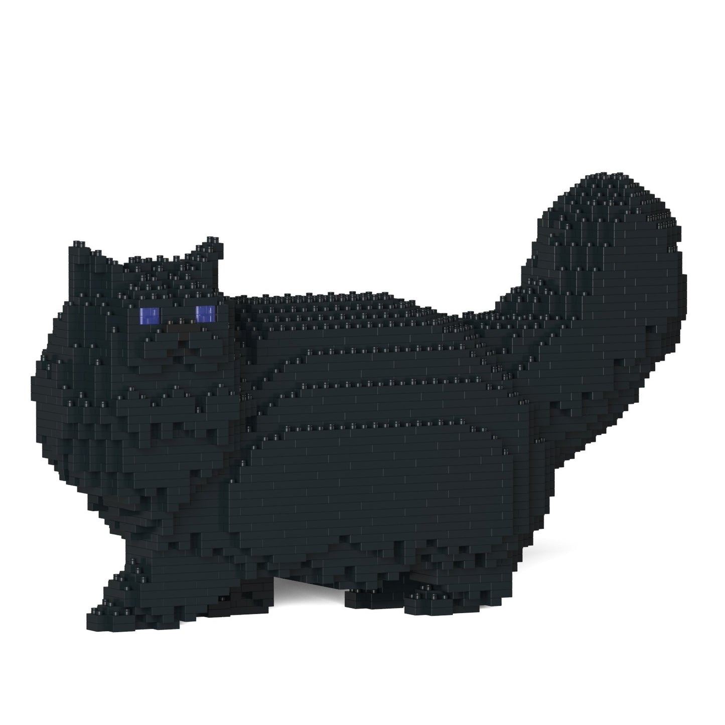 Persian Cat 02S-M04