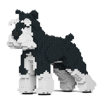 Standard Schnauzer 01-M02b