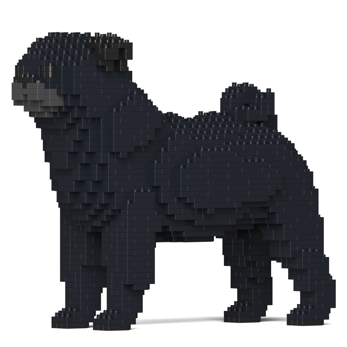 Pug 01-M02