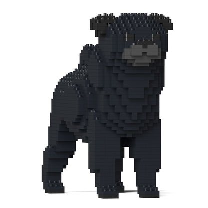 Pug 01-M02