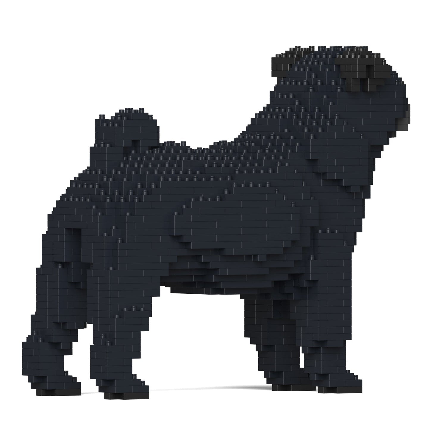 Pug 01-M02