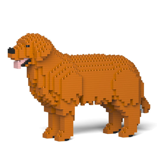 Golden Retriever 01-M01