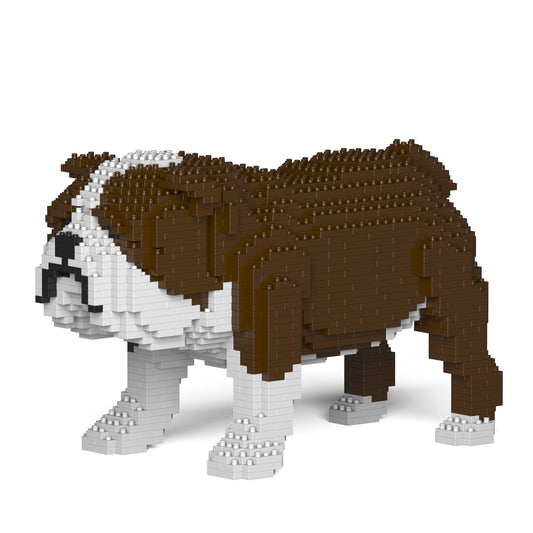 English Bulldog 01-M01